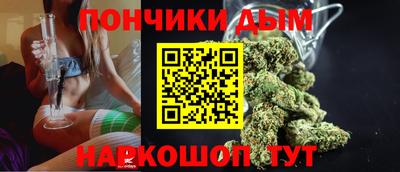гашик Гай