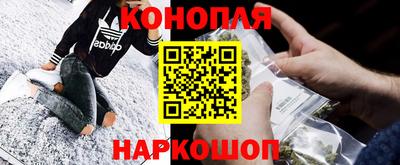 гашик Гай