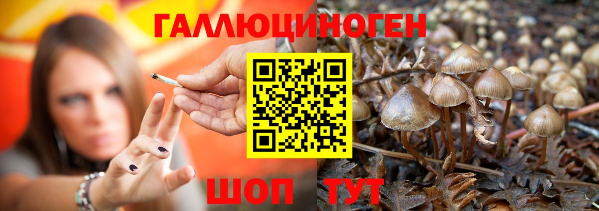 Электросталь  Галлюциногенные грибы ЛСД  Вход с VPN 