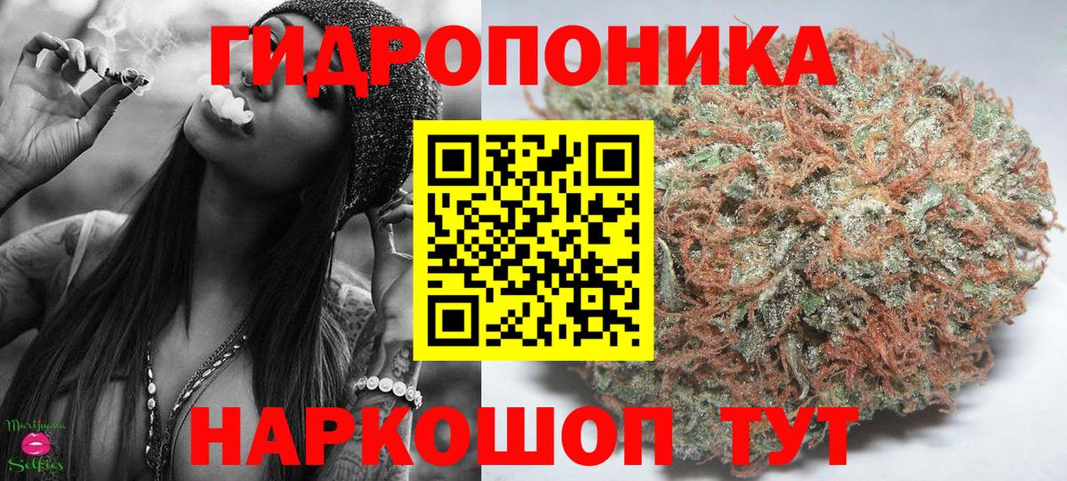Каннабис OG Kush  Вход с VPN  Конопля сатива  Электросталь  Бошки Шишки гибрид 